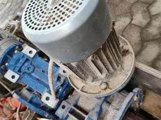 - - - El motor 0,75 kW 4 stk