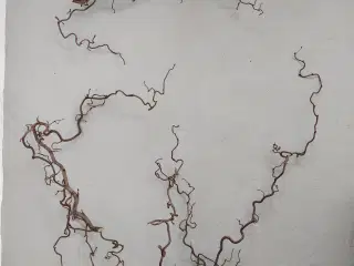 Troldegrene