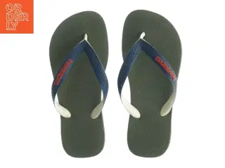 Flip-flops, voksen fra Havaianas (str. 31-32)