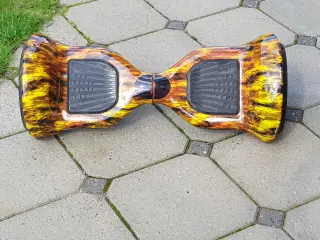 10" segboard