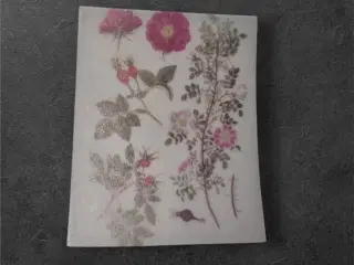 Botaniske Rosenark til Kreative Projekter