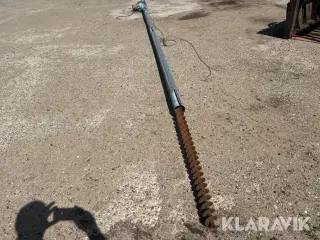 Kornsnegl