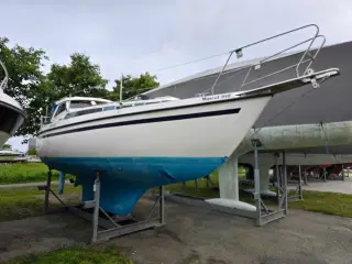 Mascot 910 (NY MOTOR)