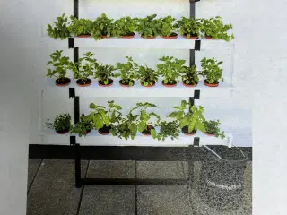Nyt Hydroponic/ plantevæg med selvvanding