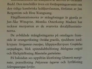 mångfotingar - myriapoda - samtliga nordiska arter