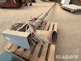 Kornsnegl Arni