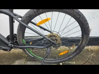 Scott mtb trail