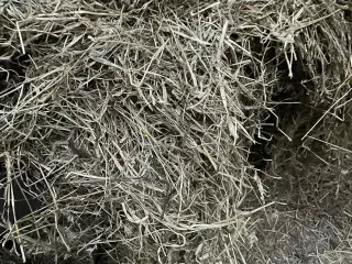 🌾💚 LÆKKERT WRAP-HØ TIL SALG – FRISKT, RENT OG KL