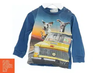 Langærmet t-shirt med biltryk og hunde fra Molo (str. 86)