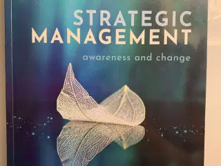 Strategic Management, awareness and change