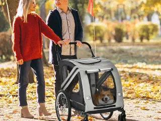 Cykelanhænger / Jogger Hund 20 kg. 