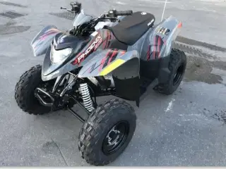 Polaris Phoenix 200