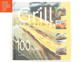 Grill : sommermad på 100 måder af Vibeke Bindslev (Bog)