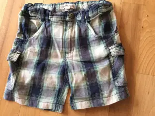 Ternet shorts