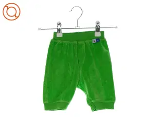 Joggingbuks er fra molo