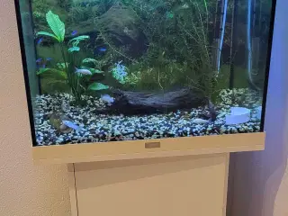 Juwel akvarium