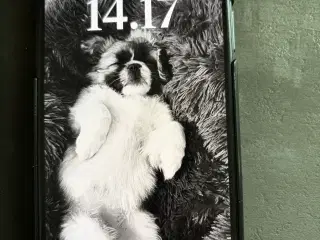 iPhone XS MAX med flere ladestik