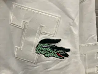 Sweatshirt, Lacoste, L