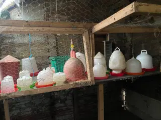 Foder og vandbeholdere til høns sælges