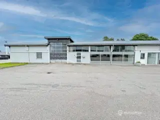 Veldisponeret lager med kontor / showroom - i alt ca. 560 kvm