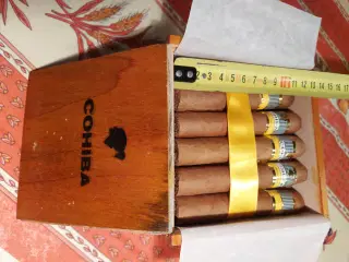 Cigarer