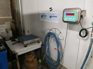 Vægt LAUMAS WINOX-R