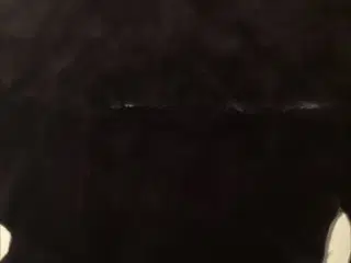 2 ægte sælskind sælges