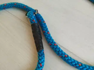 Retrieverline. Hundesnor.