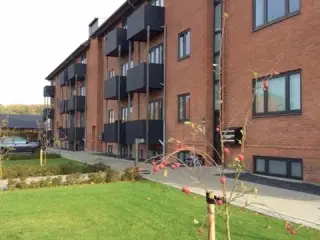Lejlighed med altan/terrasse, Ølgod, Ribe
