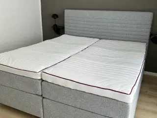 TEMPRAKON Kontinentalseng