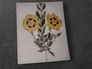 Naturlige papirark med botanisk design til kreativ