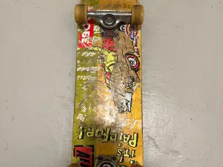 Skatebord