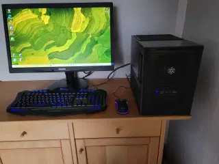 E-sports gamer / GAMER PC