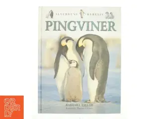 Pingviner af Barbara Taylor (Bog)