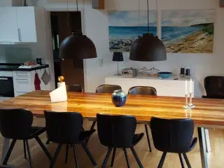 Luksussommerhus for 8 personer ved Hesselbjerg Strand p� Langeland med b�rnevenlig sandstrand