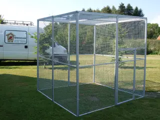 Til fugl eller kat