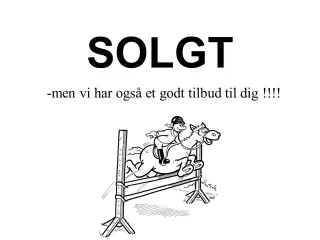 Böckmann UNO Esprit S/B med Sadelrum