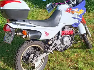 Honda NX 650 Dominator offroader