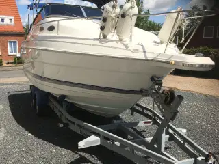 Motorbåd wellkraft med bådtrailer