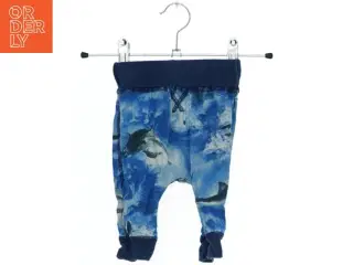 Bukser med hajprint fra Molo (str. 56)