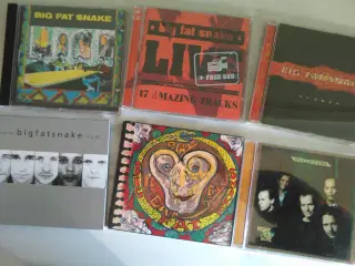 Big Fat Snake 6 titler – stk. 25 kr. - alle 75 kr.