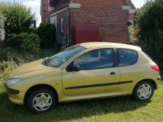 Peugeot 206 Nysynet 