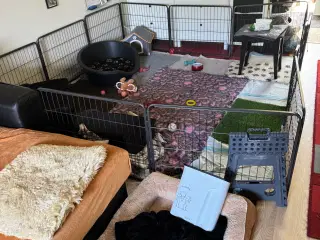 Stor hundegård 12 sider, som ny