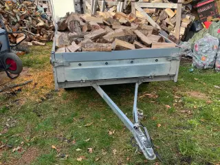 🔥Vinterens hotteste træ – bogstaveligt talt! 🔥