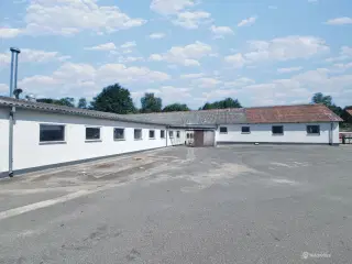 800 kvm koldlager udlejes