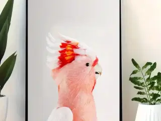 * Lærredsmaleri; Sød papegøje
