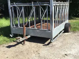 Fang og transportvogn til kreaturer.