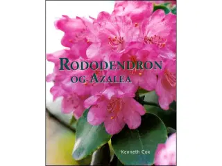 Rododendron og Azalea