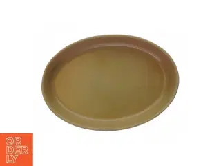 Ovnfast fad