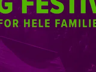 Vig Festival partout, familie og camping